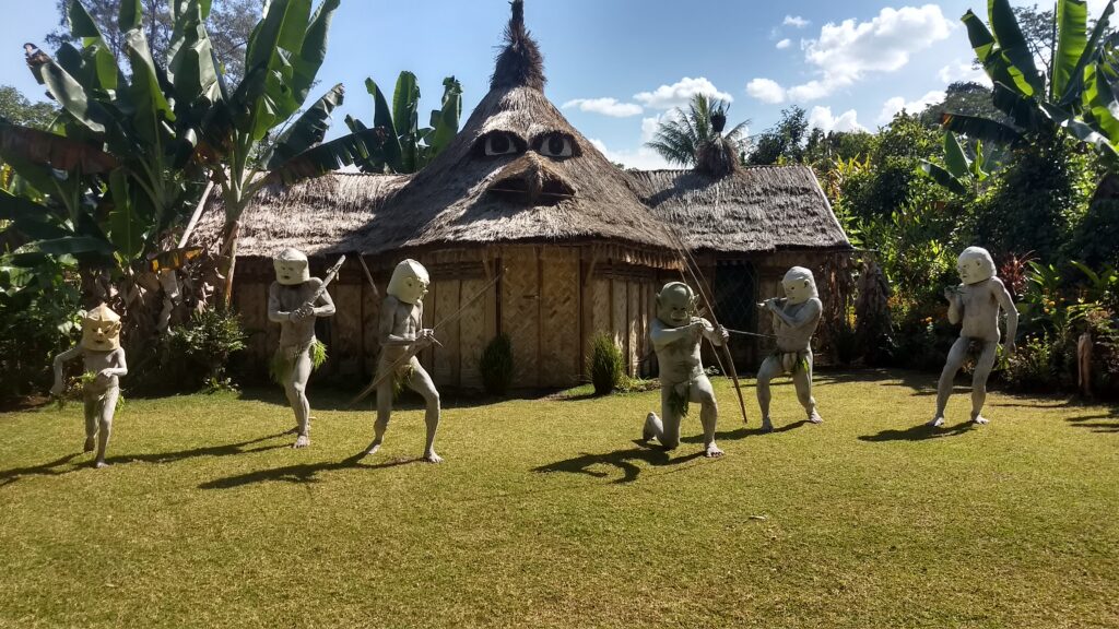 Papua New Guinea [4106]