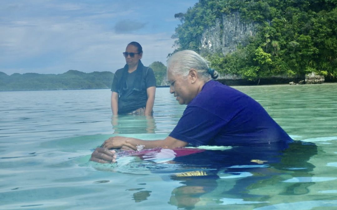 Republic of Palau [7107]