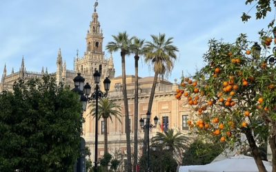 Spain [7114]